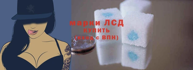 таблы Няндома