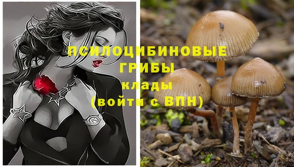 MDMA Нязепетровск