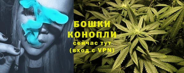 таблы Няндома