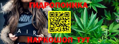 эйфоретик Гусь-Хрустальный