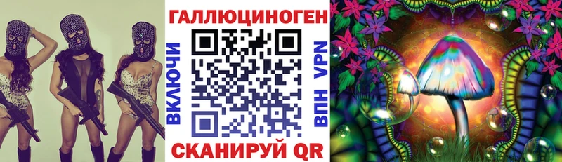 Псилоцибиновые грибы Psilocybine cubensis  Балашов 