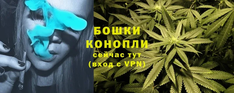 где можно купить   Балашов  МАРИХУАНА THC 21% 